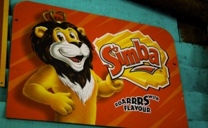 2013 Internship Programme at Simba