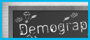 Demographica Internship Opportunity