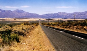 2013 Ceres Opportunities